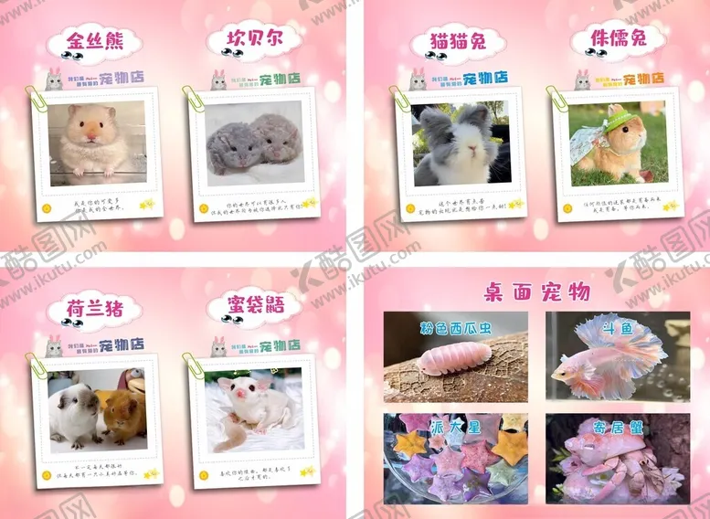 编号：90491306300617221095【酷图网】源文件下载-宠物海报