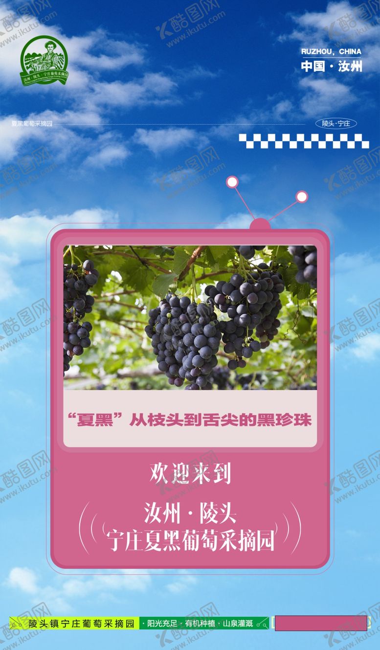 编号：82343501262253533482【酷图网】源文件下载-水果海报