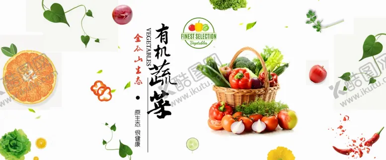 编号：59640805090728245658【酷图网】源文件下载-有机蔬菜原生态