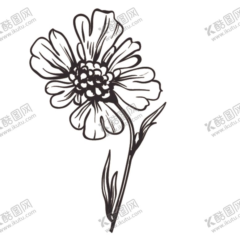 编号：40095709111834566433【酷图网】源文件下载-素描绘画植物花朵
