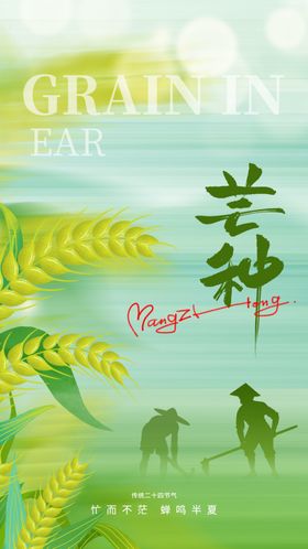 田园风兰种宣传插画
