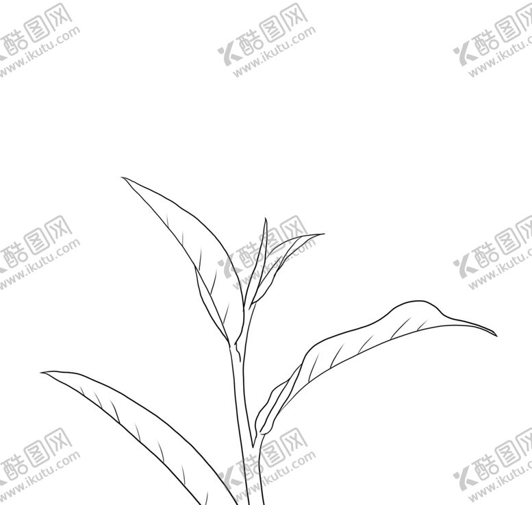编号：99457006260254163688【酷图网】源文件下载-茶叶