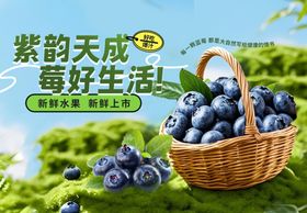 紫韵天成的美味蓝莓