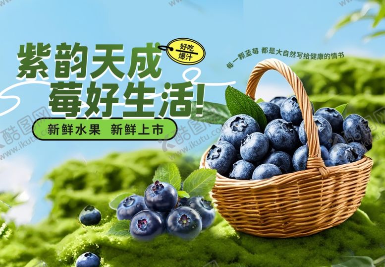 编号：86352101061818461194【酷图网】源文件下载-紫韵天成的美味蓝莓