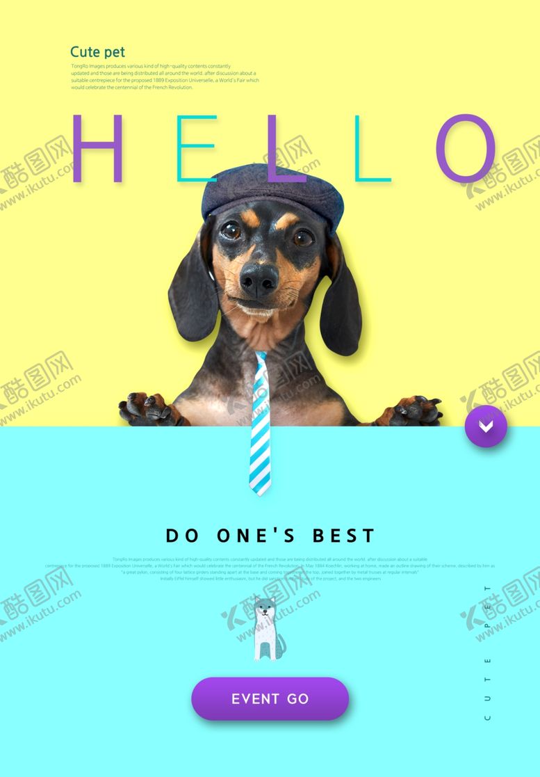 编号：30959009150815185642【酷图网】源文件下载-宠物海报