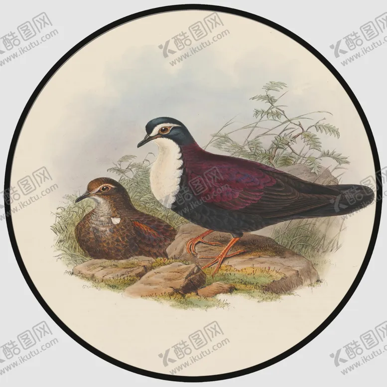 编号：22084805032027375446【酷图网】源文件下载-圆形装饰画圆形挂画圆形背景