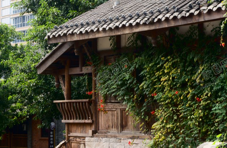 编号：57387504171856422820【酷图网】源文件下载-古朴小屋被绿植环绕