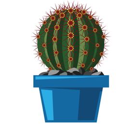 png格式植物花卉手绘素材仙人掌插图卡通盆栽