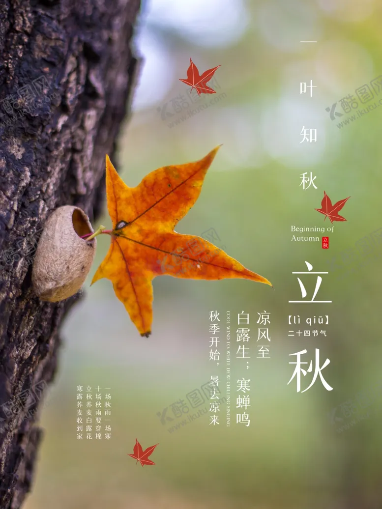 编号：29646906300939012729【酷图网】源文件下载-立秋海报立秋插画立秋宣传