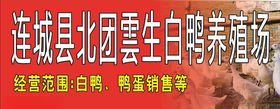 白鸭招牌
