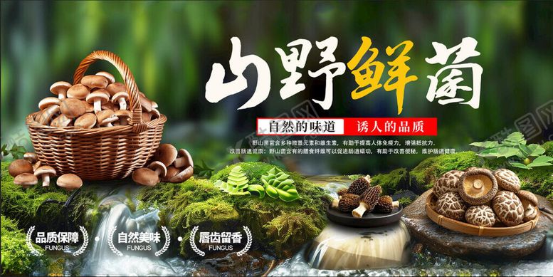 编号：68190211171456009294【酷图网】源文件下载-野生菌