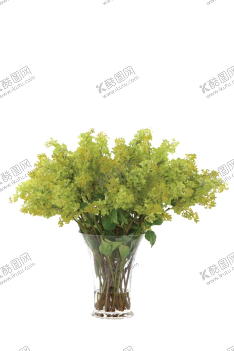 编号：80701710181702038607【酷图网】源文件下载-免抠背景花草树木