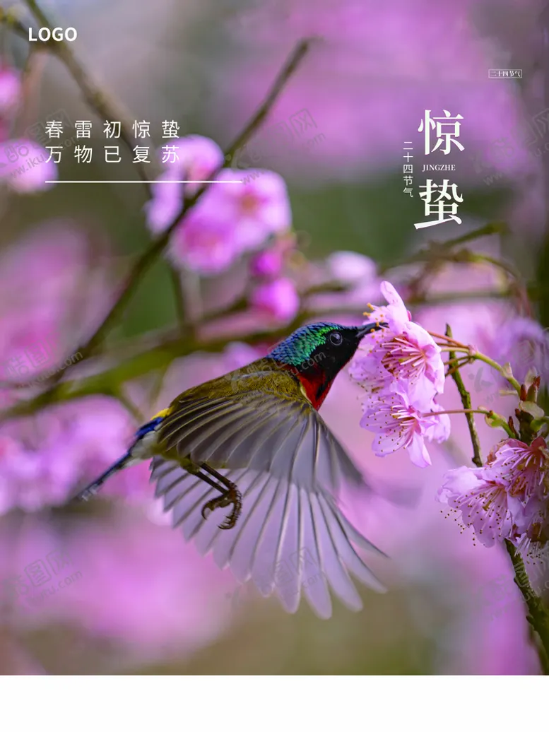 编号：43144810261639075388【酷图网】源文件下载-惊蛰