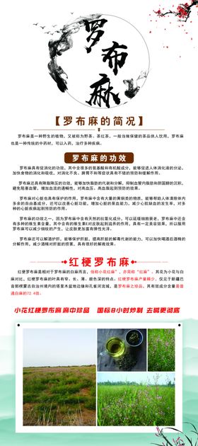 罗布麻