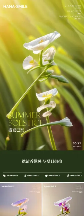 夏至节气海报二十四系列3D字体创意
