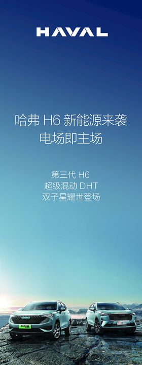 第三代H6DHT 道旗