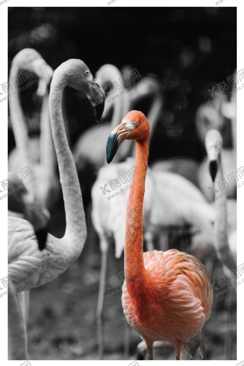 编号：28782610290559293157【酷图网】源文件下载-背景墙装饰画