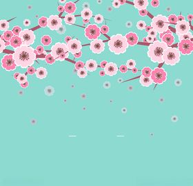 樱花