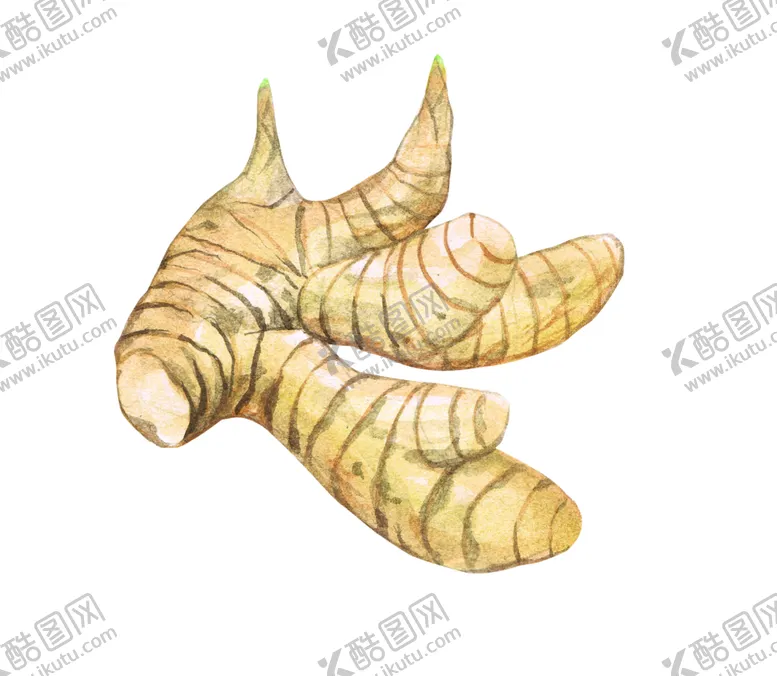 编号：60232403141638305873【酷图网】源文件下载-手绘彩色蔬菜免扣素材图片