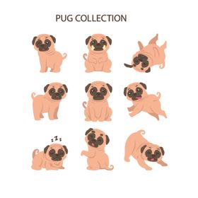狗DOG动物卡通