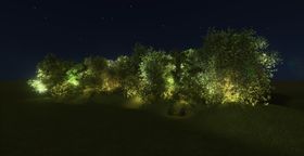 灌木夜景亮化素材