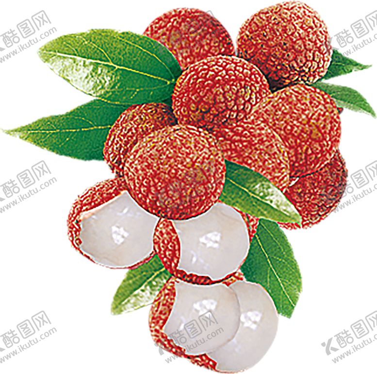 编号：95364909121024181957【酷图网】源文件下载-水果