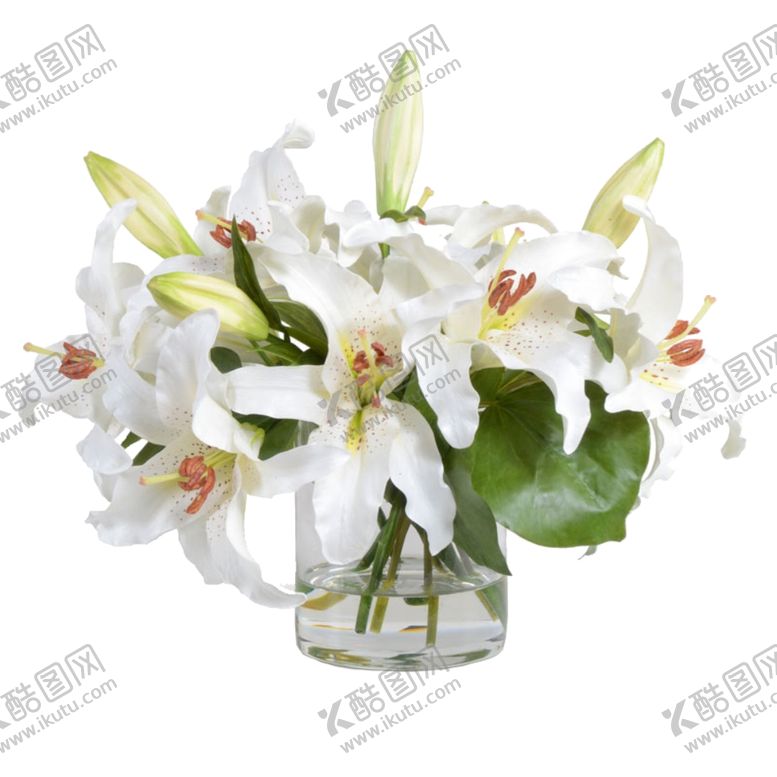 编号：52766110010507184948【酷图网】源文件下载-免抠背景花草树木