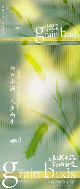小满海报设计