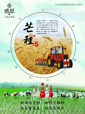 插秧种田