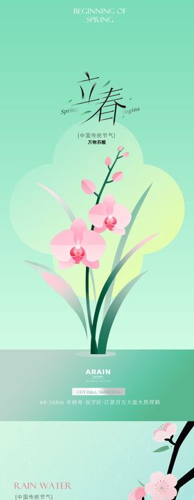 立春雨水花卉插画海报