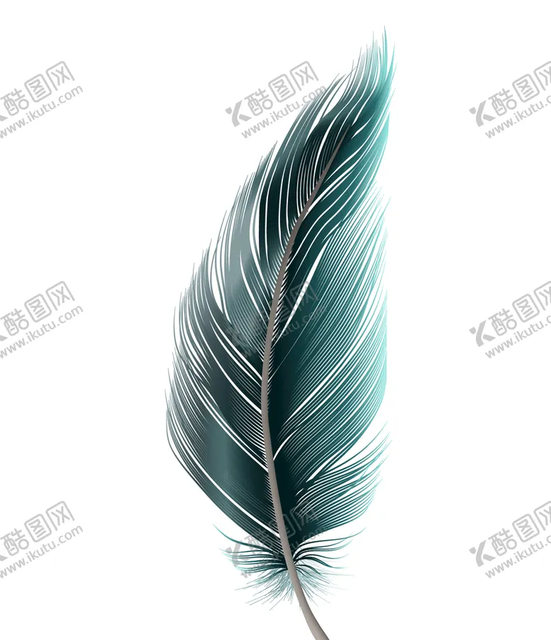 编号：24973009171528441863【酷图网】源文件下载-羽毛矢量