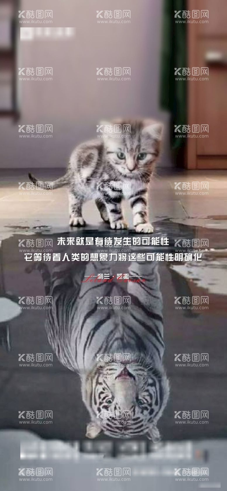 编号：24650410310719355229【酷图网】源文件下载-对比 猫 虎 励志日签