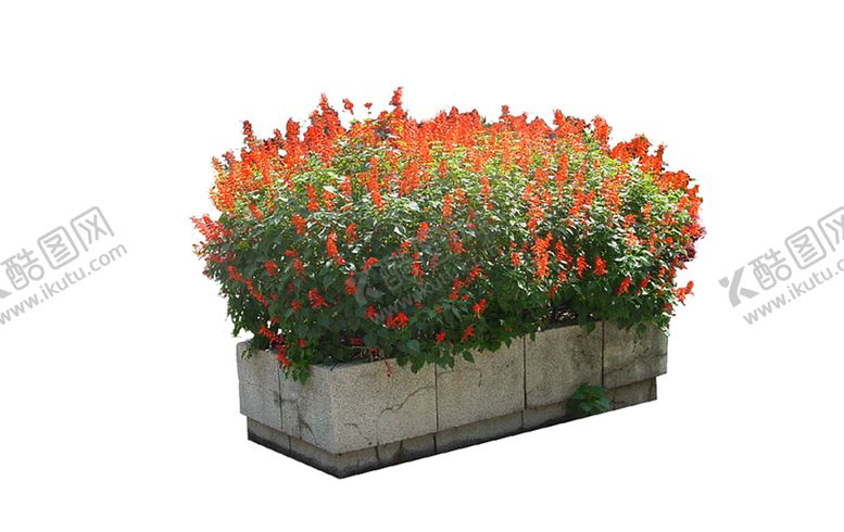 编号：61562810091955289517【酷图网】源文件下载-绿色相框