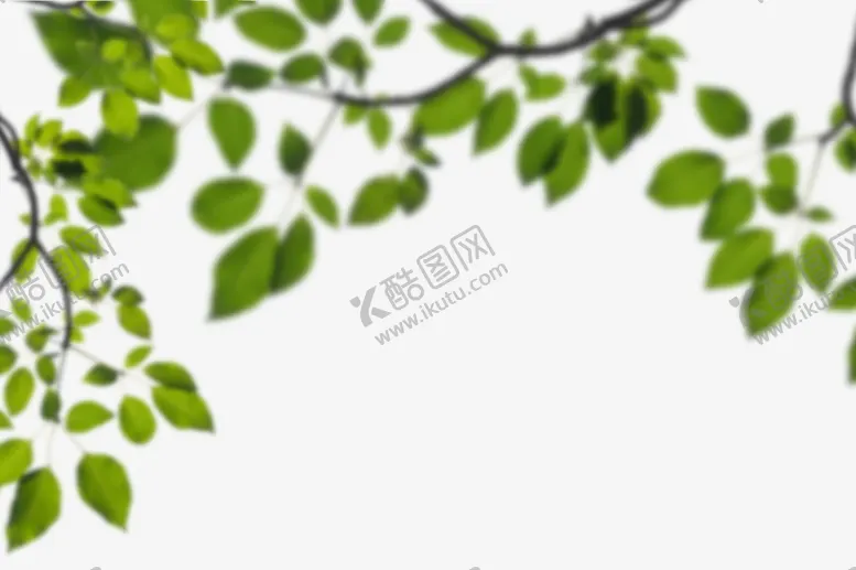 编号：72965809180107524720【酷图网】源文件下载-绿色树枝叶子透明背景合成素材