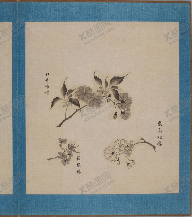 编号：46812705141642246397【酷图网】源文件下载-樱花