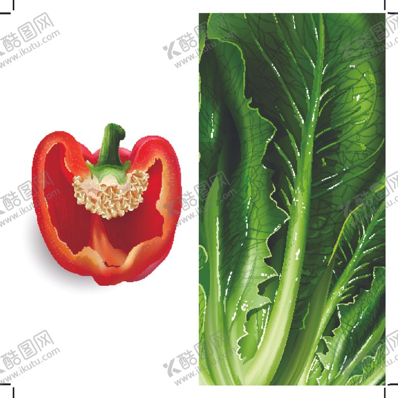 编号：86220909212348035367【酷图网】源文件下载-水果插画