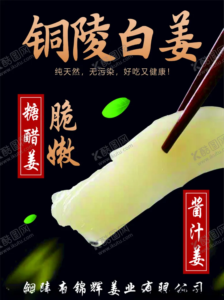 编号：22378907021712191256【酷图网】源文件下载-铜陵白姜