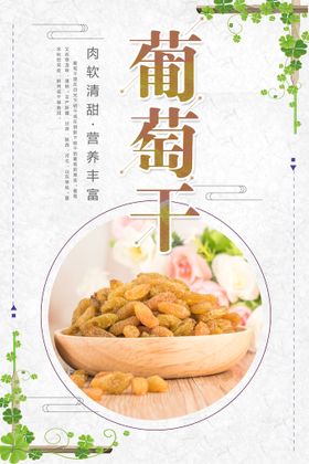 小清新葡萄干美食海报