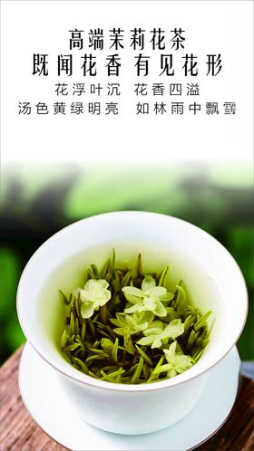 高端茉莉花茶