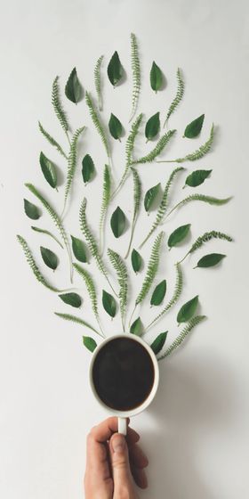 壁纸