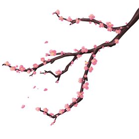 梅花素材