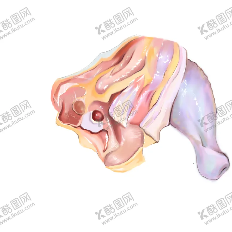 编号：79435010061706184035【酷图网】源文件下载-鸡腿插画设计  国潮风设计