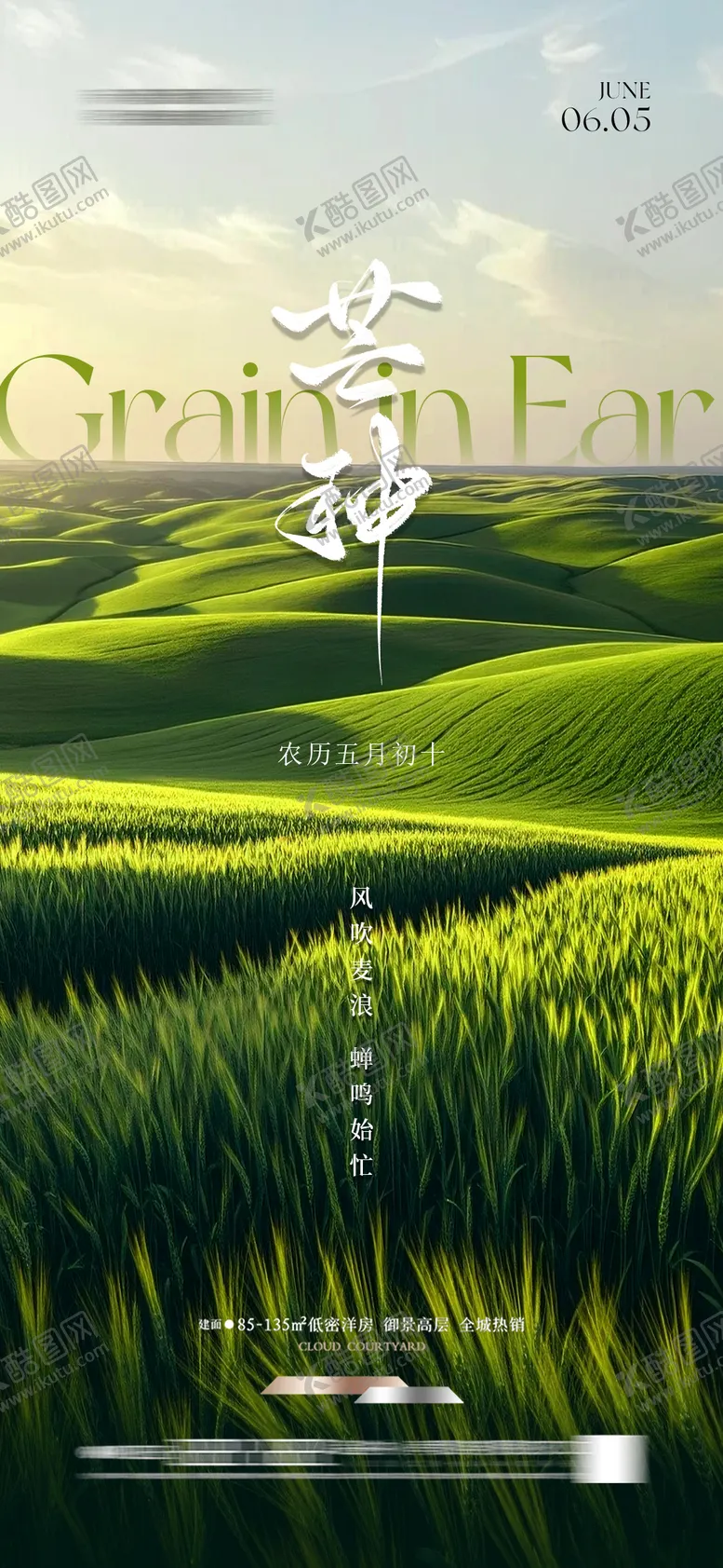 编号：14381406151650304522【酷图网】源文件下载-地产芒种海报