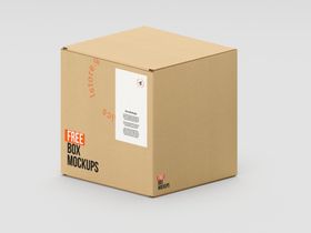 瓦楞纸水果包装礼盒样机