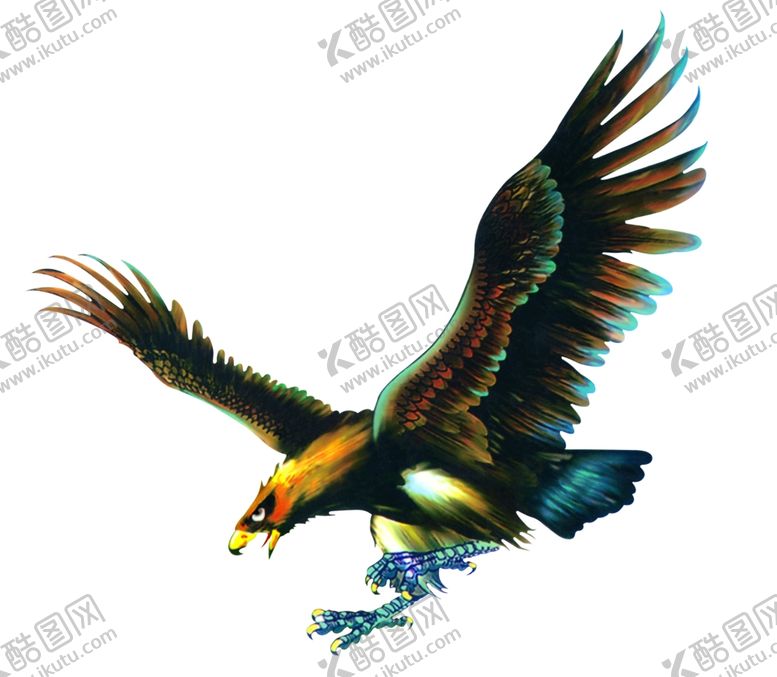 编号：27219105081723327676【酷图网】源文件下载-老鹰