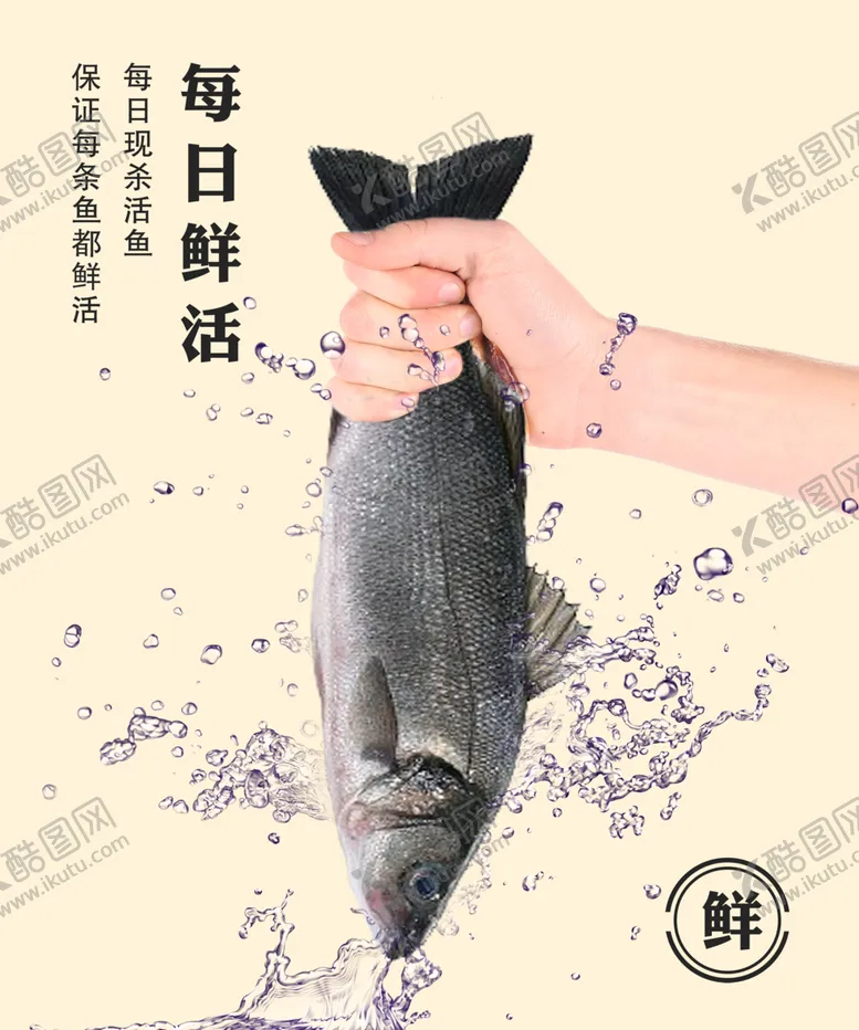 编号：99672002030537546116【酷图网】源文件下载-鲜活鱼海报