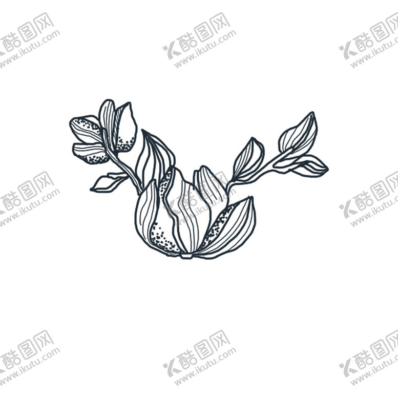 编号：48832909201914015427【酷图网】源文件下载-花叶素材