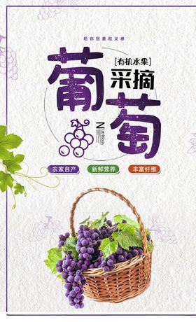 葡萄海报