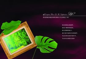 龟背竹热带花卉饰画