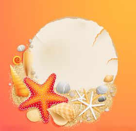 贝壳素材海螺海底贝壳海底